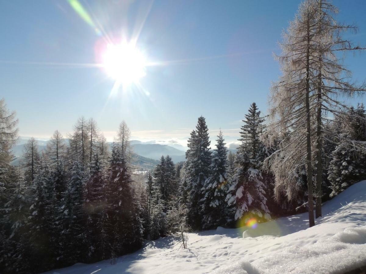 Villa-Alpenblick Hochrindl Extérieur photo